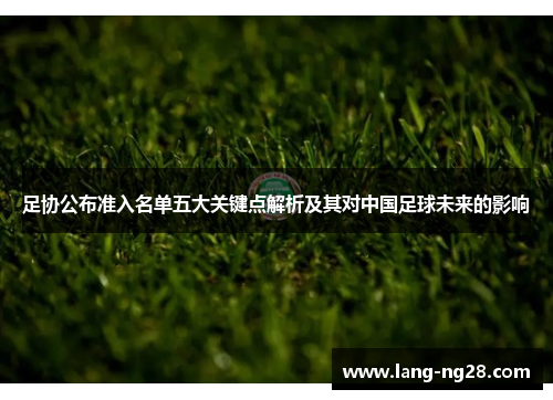 足协公布准入名单五大关键点解析及其对中国足球未来的影响