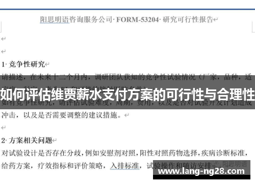 如何评估维贾薪水支付方案的可行性与合理性